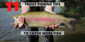 11 Proven Trout Fishing Tips you can Trust | A Man & His Rod