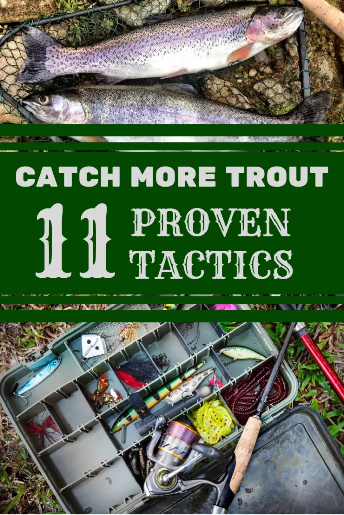 trout fishing guide how to catch fish