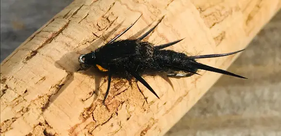 black stone fly