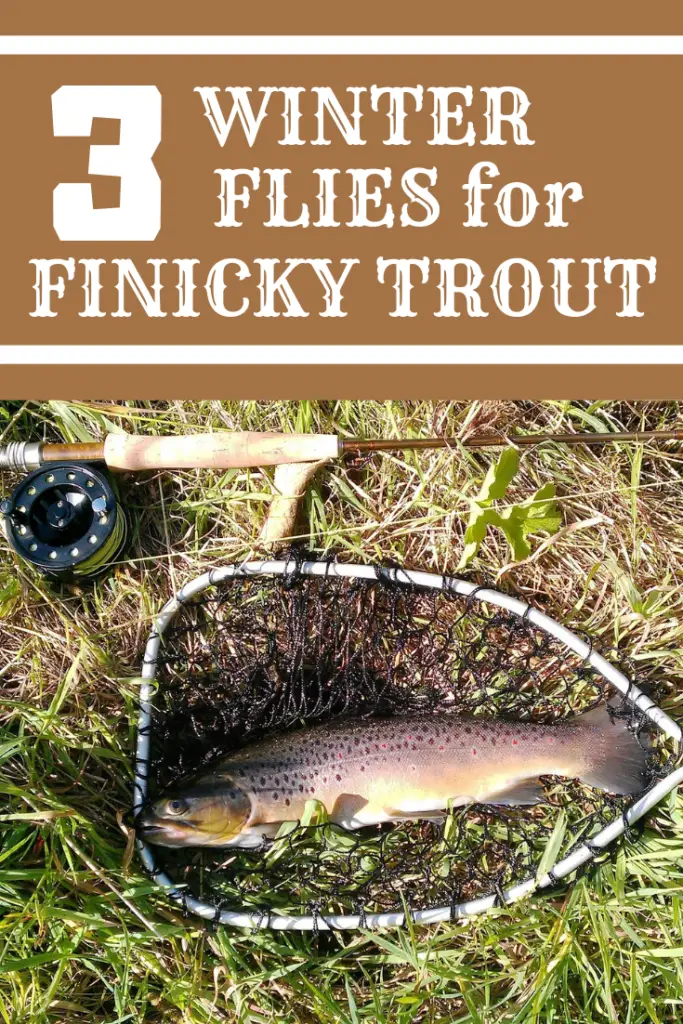 Top 3 Flies For Catching Winter Trout | A Man & His Rod