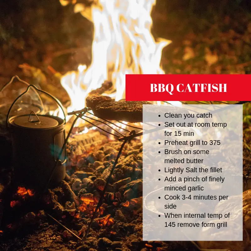 bbq catfish recipe