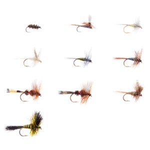 dry fly stillwater assortment