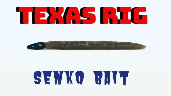 Texas rigged senko bait 