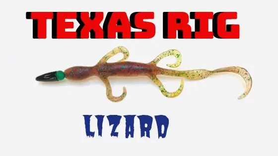 Texas rigged lizard