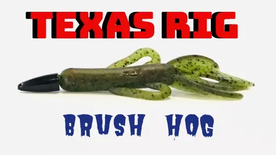 texas rigged brush hog