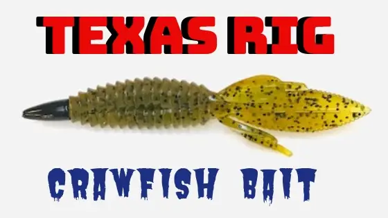 texas rig crawfish bait