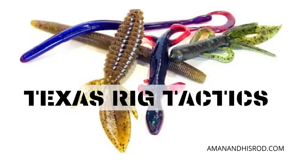 how to texas rig for bass