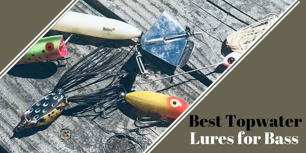 11 Best Topwater Fishing Lures to Catch More Bass | A Man ...