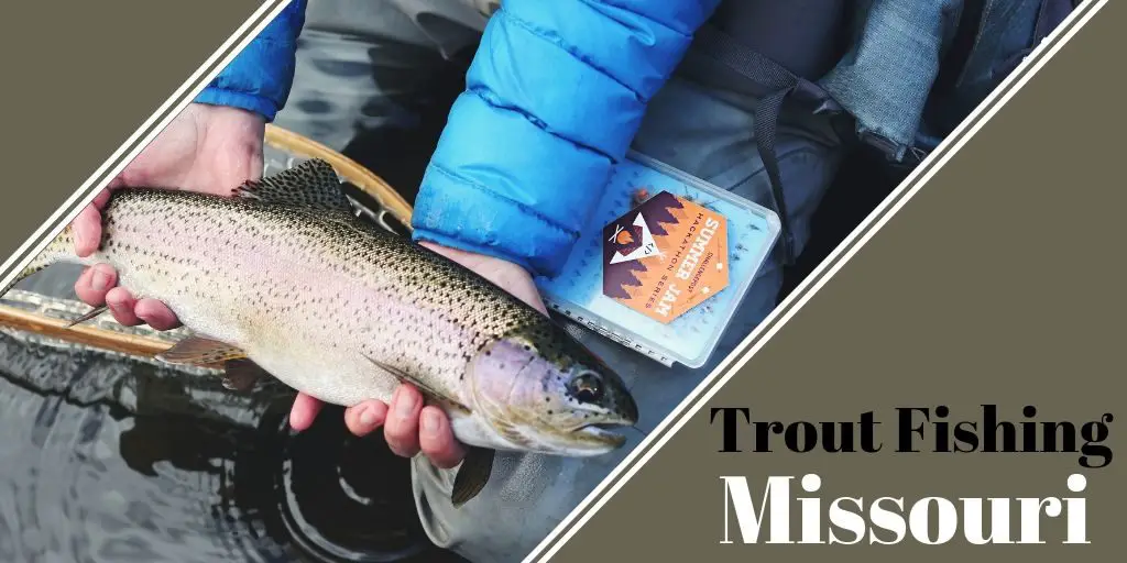 trout caught fishing in Missouri
