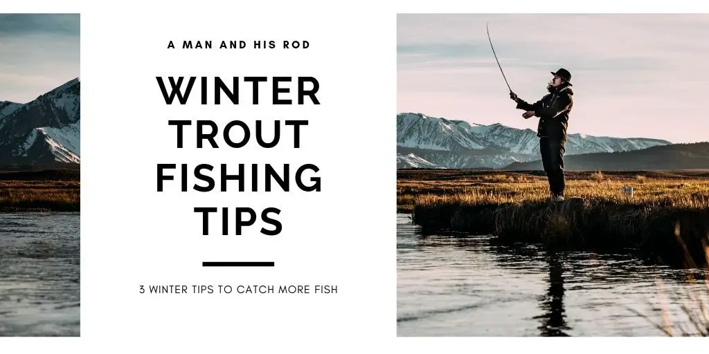 winter trout fishing tips