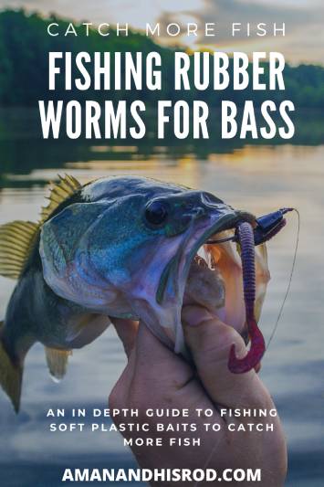 mojo bass jig and worm