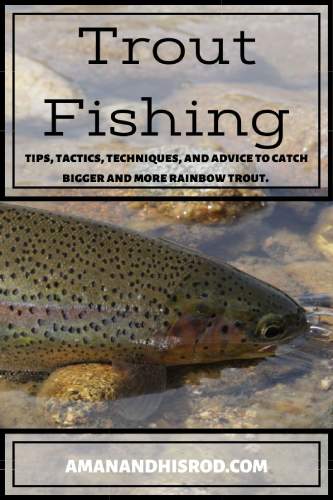 trout fishing tips and tactics for beginners