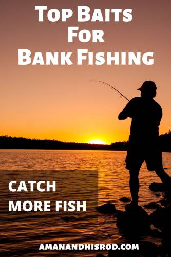 top bank fishing baits pinterest graphic