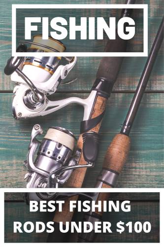 pinterest graphic best fishing rods under $100