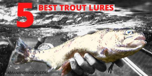 5 best trout fishing lures image