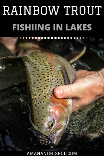 man holding rainbow trout in fishing net