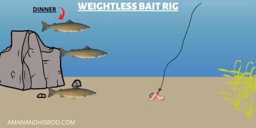 weightless bait rig diagram