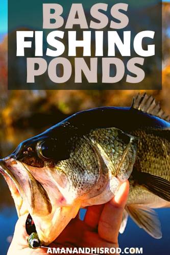 Bass Fishing in Ponds