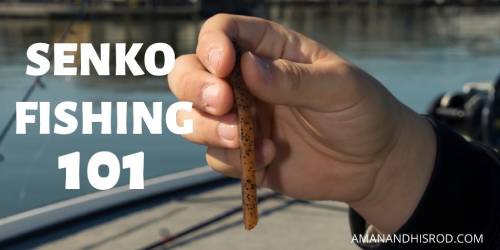 senko fishing 101