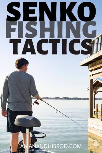senko fishing tactics