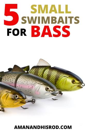 best small swimbaits for bass