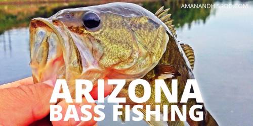 bass fishing arizona