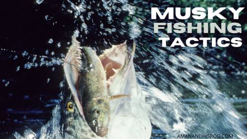 musky fishing tactics