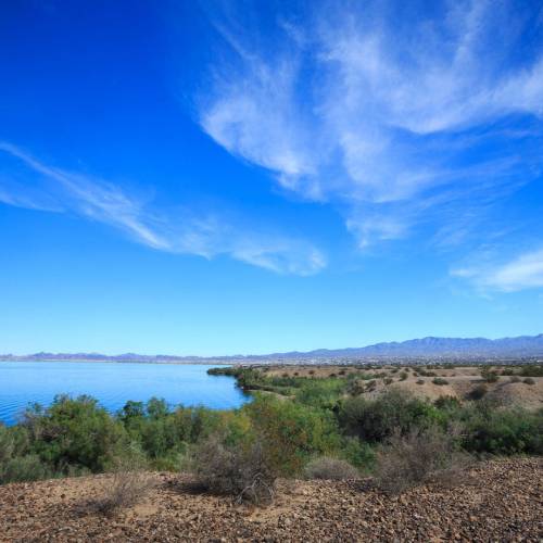 Lake Havasu