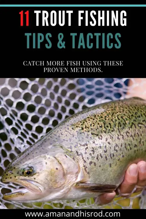 11 Proven Trout Fishing Tips you can Trust | A Man & His Rod