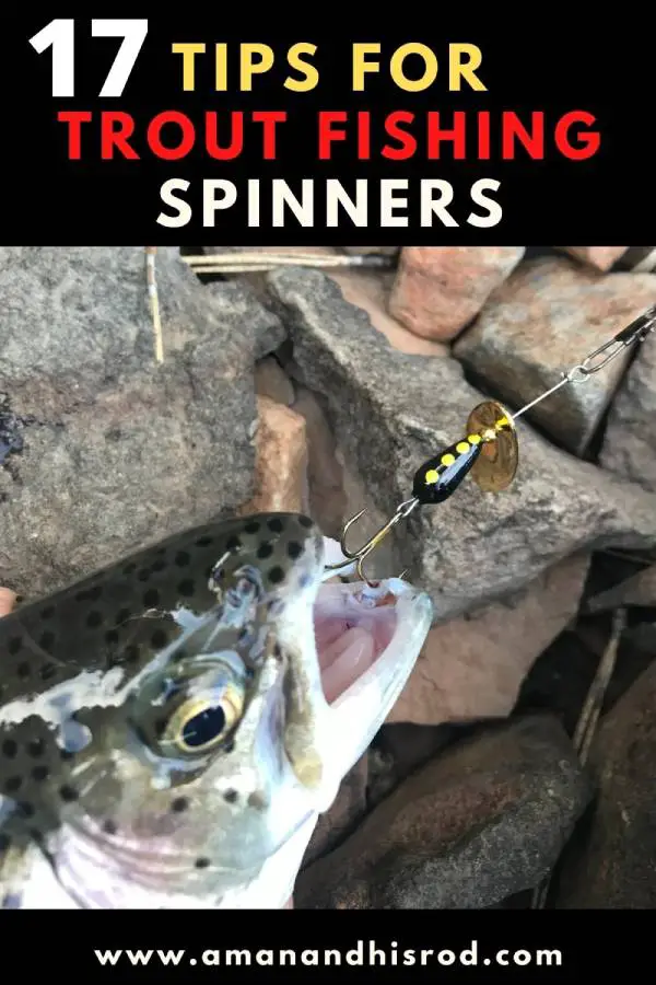 17 tips for trout fishing spinners