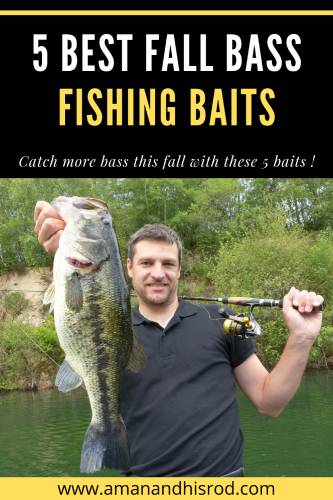 5 best fall bass fishing lures