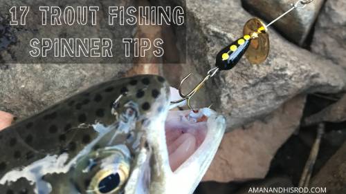 17 fishing spinner tips