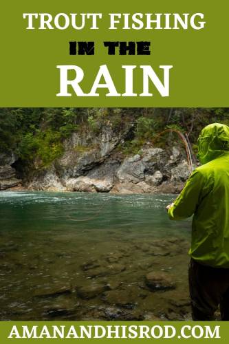 trout fishing in the rain