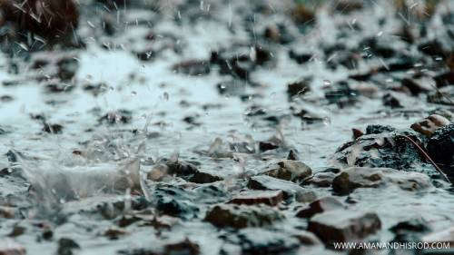 fishing in rain