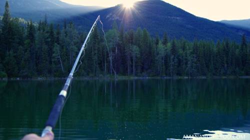 fishing rod at 45 degree angle catching fish