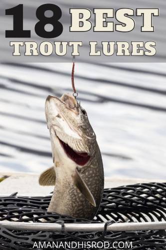 18 best trout lures