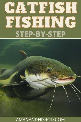catfish fishing step by step guide
