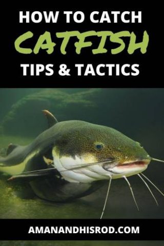 Catfishing 101: How to Catch Catfish Anywhere | A Man & His Rod