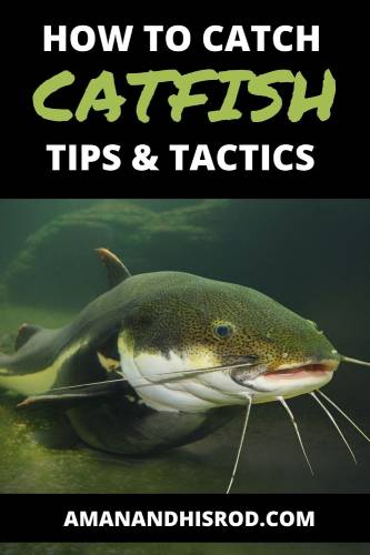How to catch catfish tips and tactics