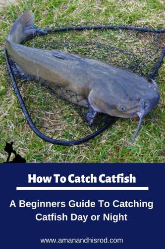 how to catch catfish for beginners