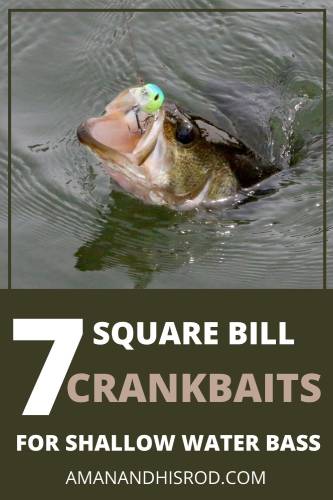 bass caught on square bill crankbait 