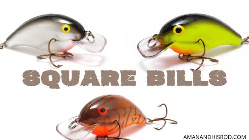 Details about   Square Bill Bass Crank Bait #4 Hooks Rattle Head 2.75" Lure Red Eye wobble bait 