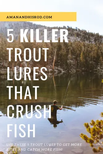 5 best lures for trout that catch more fish
