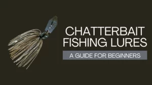 chatterbait fishing lure