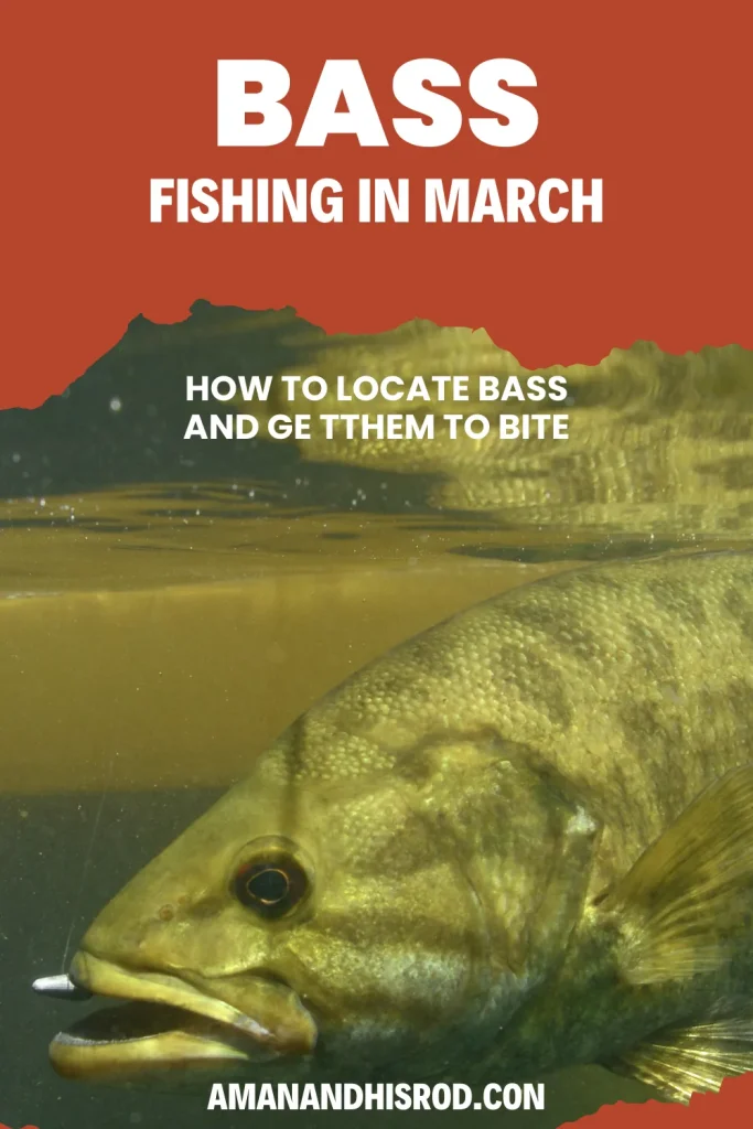 hot to find and catch bass fishing in march