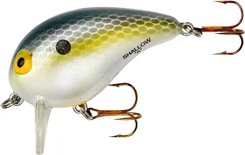 bomber a square bill crankbaut fishing lure for bass